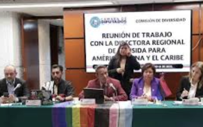 COMISIÓN DE DIVERSIDAD SE REÚNE CON REPRESENTANTES DE ONUSIDA PARA AMÉRICA LATINA